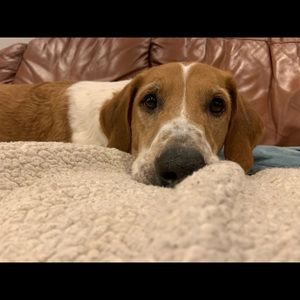 Meet your Posher, Gracee